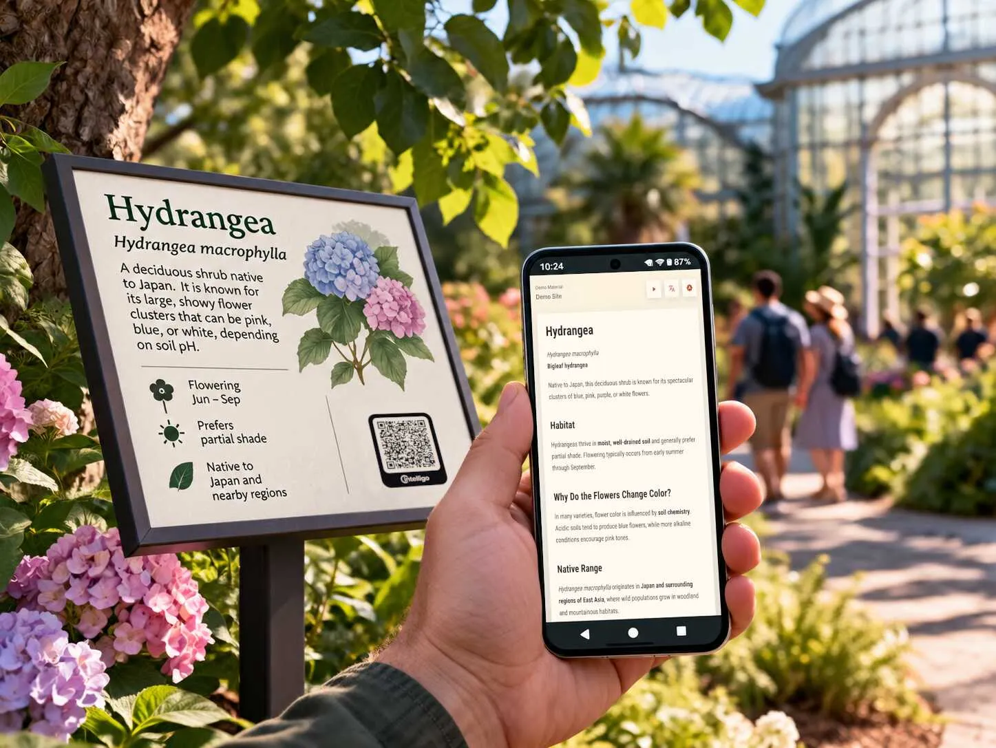Botanic gardens visitor information example